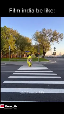 sakit mata woy😹#memekucing  #kucinglucu #meme #fyp #viral 