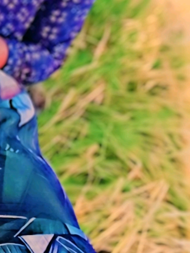 #গানটা_আমার_অনেক_ভালো_লাগে ,,,💗💗#ভিডিওগুলো_কেমন_লাগে_কমেন্ট_করে_জানাবেন_তোমাদের_কেমন_লাগে ,,,💗💗