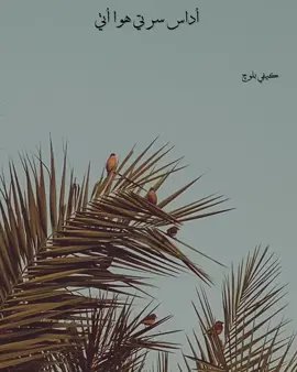 چاندني تو سوا نه ٿيندي 💘@اُفير بلوچ #fyp #kaifibaloch #sindhistatus #song #village 