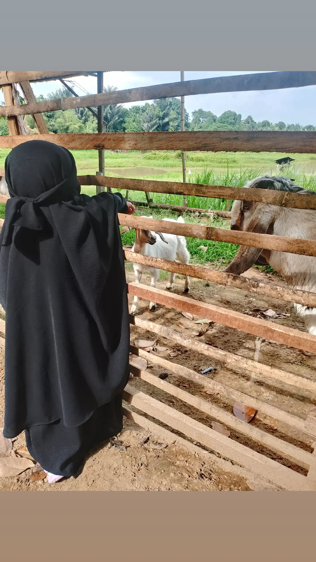 Jadilah teladan bagi orang lain, dengan mengamalkan ajaran agama dalam kehidupan sehari-hari. Tetaplah berdoa dan berusaha, karena kesuksesan datang dari usaha yang tak pernah berhenti.