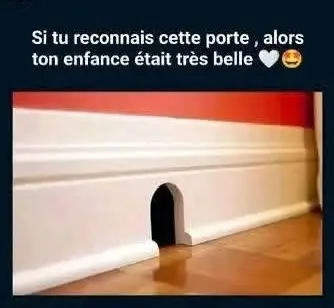 #like #viraltiktok #viral 