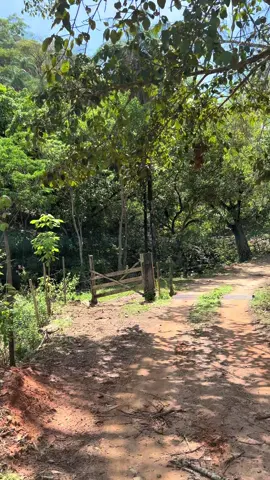 #estradadeterra #minasgerais #vidanaroça 