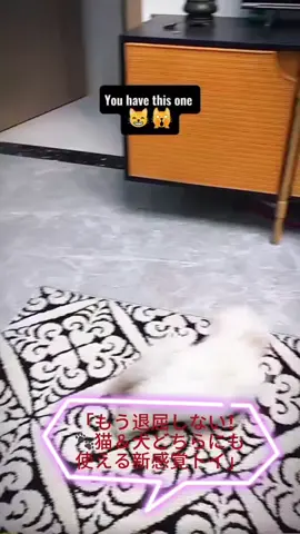 「もう退屈しない！🐾猫＆犬どちらにも使える新感覚トイ」 #猫犬トイ #インタラクティブボール #自動遊び #ペットライフ #HappyPet