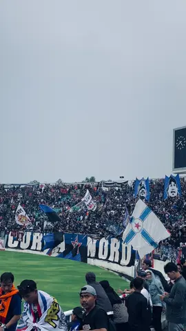 #arema #aremania #fyp #malang 