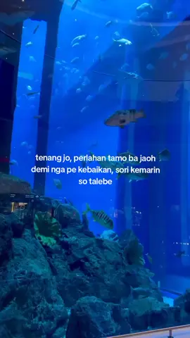 🙏 #manado #kotamobagu #manadopunya #katakatamanado #fypシ゚ 