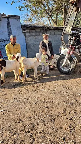 #viralvideo #foryoupage #pleaseunfrezzemyaccount 