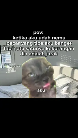 tapi dia ngeusahainn mau kesini🥺 #meme #memekucing #kiyotakiiii #fyp #kucinglucu 