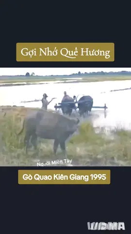 Định An.Gò Quao.Kiên Giang 1995 #goquaokiengiang #kiengiang68 #kiengiang #nguoimientay #🌾 