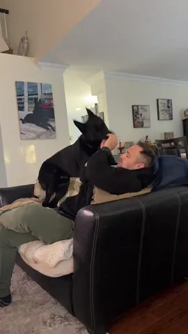 The baby don’t play! #germanshepherd #puppytiktok #fall 