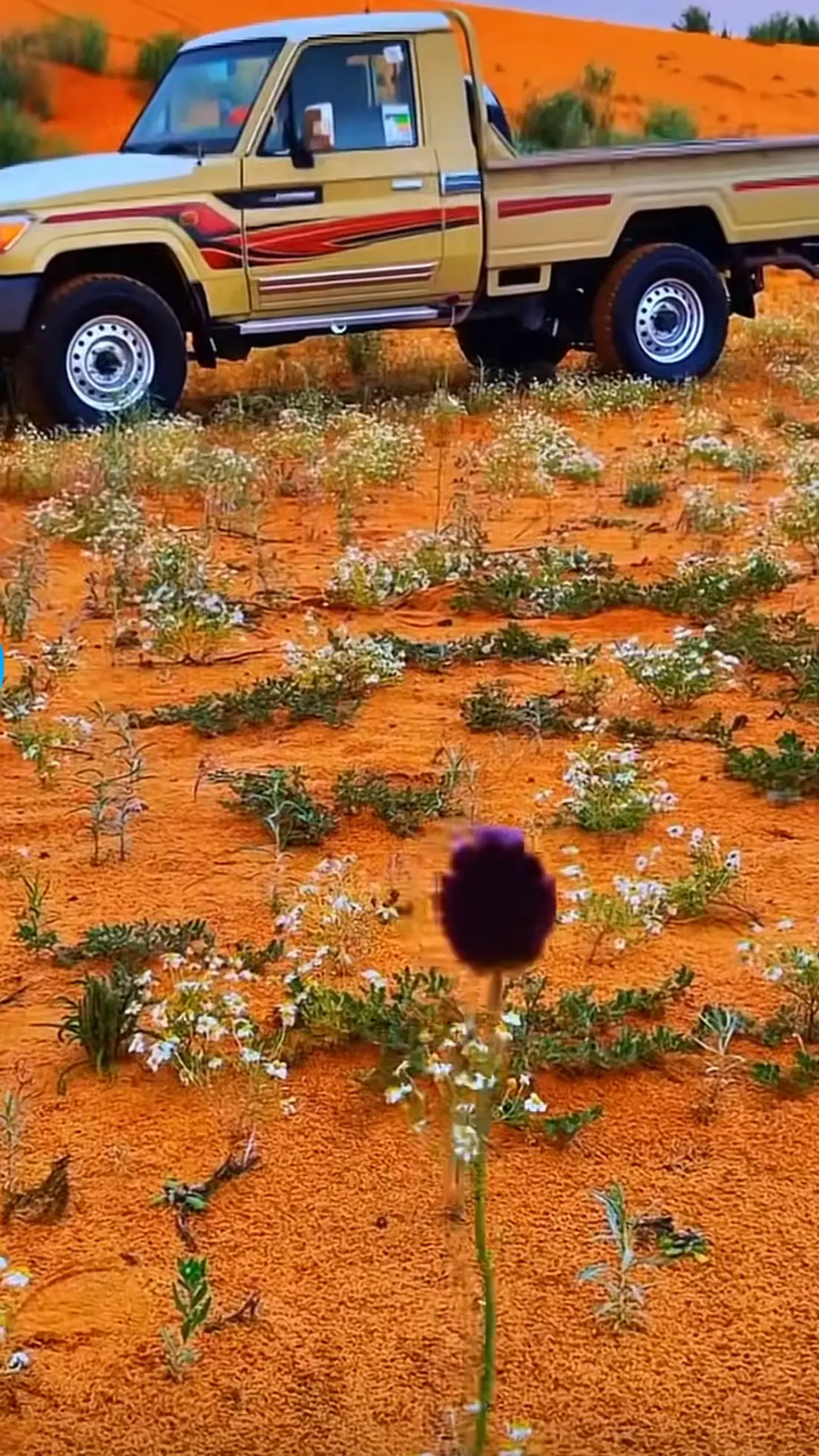 #الحدود_الشماليه_رفحاء #حايل #عرعر #لينه #اكسبلوررررررررر 