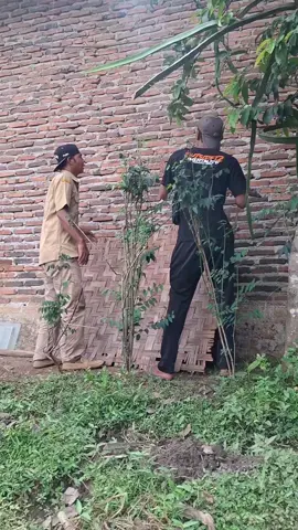 pembangunan terbengkalay#komedilucu 