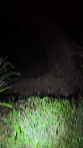 Berisik ya Kalo tinggal Di Kota 🫣🫡😁 #cisewu #garutselatan #jawabarat #terpencil #terisolasi 