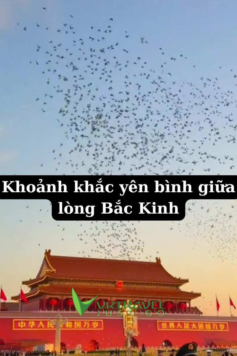 Gió Bắc Kinh thổi lạnh buốt nhưng cảnh thì ấm lòng 💙 Dạo quanh thành phố, ngắm tuyết rơi trên mái ngói đỏ – đẹp đến nao lòng… #vktravel #backinh #dulichtrungquoc #travelstory #bacKinhmuadong