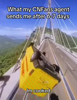 #CNFans #haul #shipping #finds #meme 