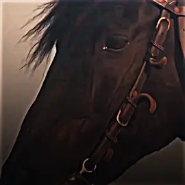 𝗞𝗔𝗥𝗔 𝗢𝗦𝗠𝗔𝗡 ❤‍🔥☠️ .  𝗡𝗘𝗘𝗗 𝗢𝗡𝗘 𝗥𝗘𝗣𝗢𝗦𝗧 😔❤‍🔥 .  #viral_video #foryoupage #viewsproblem #viral #Raazobey 