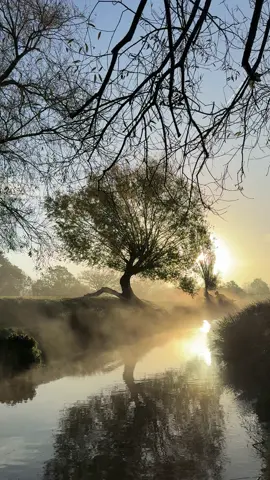 Nature #nature #naturevideos #naturelovers #londontiktok #sunrise 