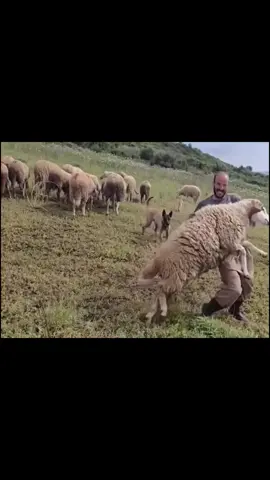 #videoviral #viraltiktok #fyp #foryoupage 