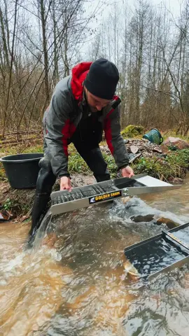 Nice gold in this river #goldprospecting #goldpanning #золото #mining #goldrush 