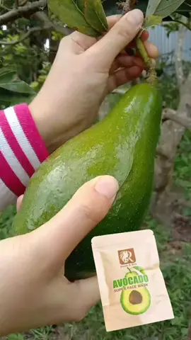 #အာမခံတင်းတိတ်ပျောက်ဆေး #တင်းတိတ်ပျောက်ချင်သူများအတွက် #tiktokmyanmar🇲🇲 #tiktokuniverso🌍 #အိမ်ရောက်ငွေချေနဲ့ပို့ပေးပါတယ် 