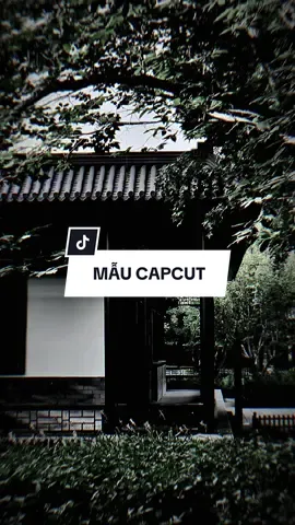 #CapCut Anh đưa tay ra để cố vuốt ve khuôn mặt em thật xinh đẹp.. #capcutmaster #xuhuong #nhachaymoingay #capcut #pioneertemplate #capcutpioneer 