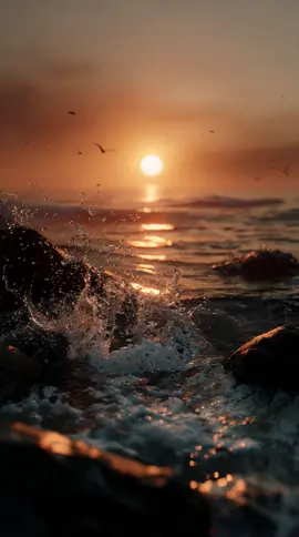 Ocean heat meets calm focus. Sunset power locked in. Keep moving. Keep building. #sunsetvibes, #oceanview, #relaxvideo, #aestheticedit, #viralclips