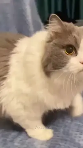 #sekedarhiburan😂🙏  #kontenhiburan✌️✌️🙏 