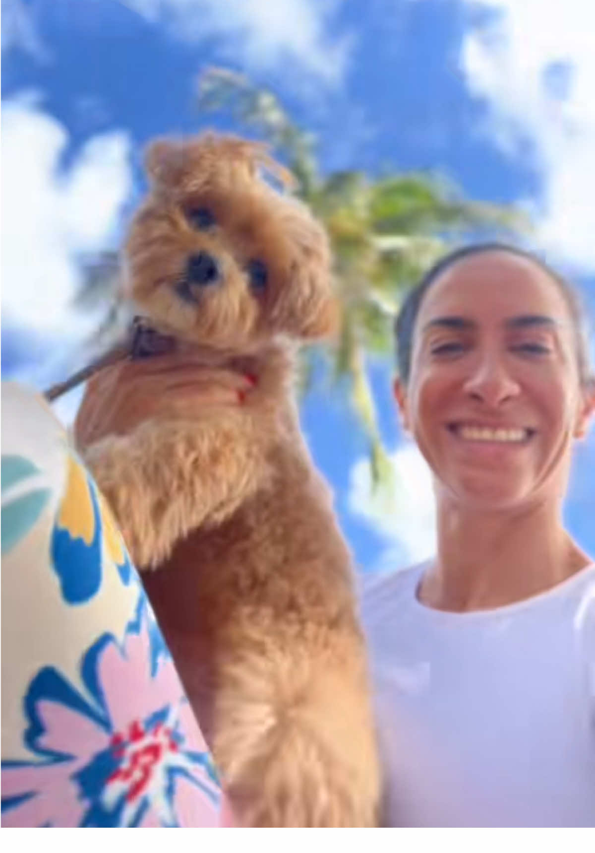 Las clase de yoga son para compartir con aquellos que nos llenan el alma. Perros, amor y disciplina milenaria. Namaste 🙏🏼 