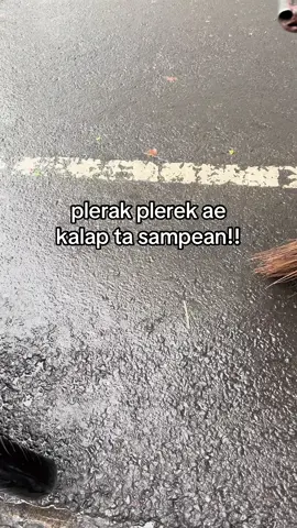 kelebon ta iku #kalapan #fyp #4u 