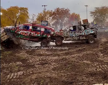 They are best friends! Rodney took the hit like a champ 🤣 @The Only Blind Dog #controlledchaosphotography #ccp #hoopeston #fyp #foryoupage 