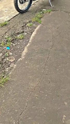 #fypシ゚ #cserisgank🚀 #fouryoupage 