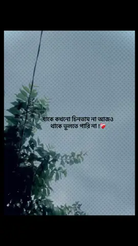 যাকে কখনো চিনতাম না আজও  থাকে ভুলতে পারি না !❤️‍🩹#foryou #trending #banglacaption #popularvedio #captionvedio 