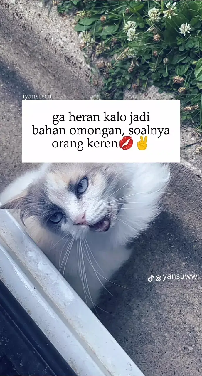 #fyppppppppppppppppppppppp 