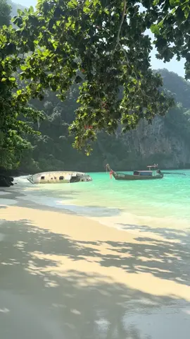 📍Monkey beach, Thailand #thailandtiktok #travel #monkeybeachphiphi 