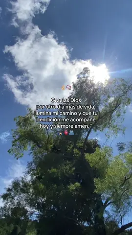 #paratiiiiiiiiiiiiiiiiiiiiiiiiiiiiiiiiii🦋 #fypppppppppppppppppppppp #paratiiiiiiiiiiiiiiiiiiiiiiiiiiiiiiiiii💖 #frasevelicas🧿📿🥷 #pyfツviral_❤ 