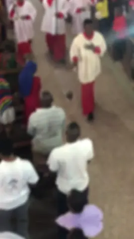 Sunday blessings 💝 #catholic #massservers #catholicchurch #fyp #catholictiktok  