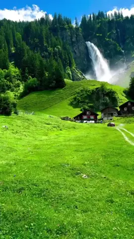 #🎧🖤 #القران_الكريم_راحه_نفسية  #creatorsearchinsight  #الشيخ عفيف محمد تاج  #الشيخ محمد تاج 