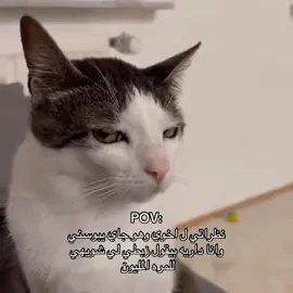 #اكسبلورexplore #explore #foryou #مالي_خلق_احط_هاشتاقات 