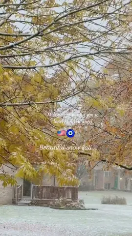 Beautiful snow fall #foryoupage #viralvideo #snowfall #ozee1010  🇺🇸🧿