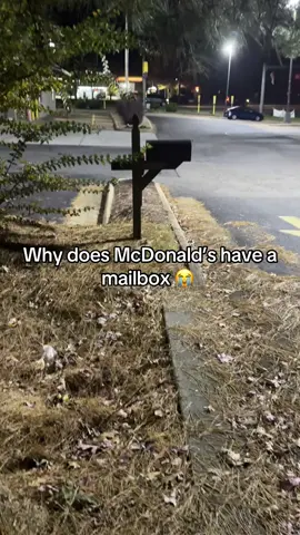 😭 wsp with the mailbox twin  #fyp #mcdonalds #viral  
