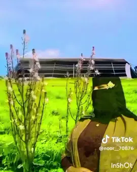 #❤️❤️🥰🥰 