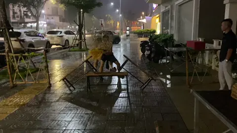 ngại gì mấy hạt mưa anh em cố gắng 7 ngày nữa thôi hẹn ae 16 ở liên hoan lân sư rồng hà nội nhé 🐉  @Trúc Lâm Đường @Việt Huy #lansurongvietnam #lansurong 