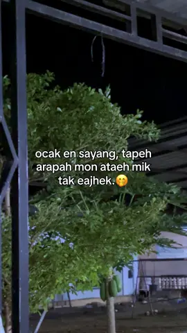 #katakatamadura #katakatamaduraviral #madurapride #madurafyp  #fyp 