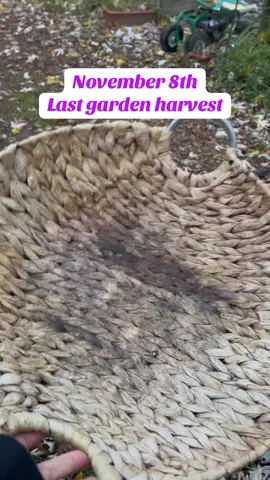 This will be my last garden harvest of the 2025 season from the main garden. We have tons of crops in the greenhouses so we will still be harvesting through the winter. Stay warm friends #gardenharvest #winterstormwatch #gardening #homesteading #growyourownfood 