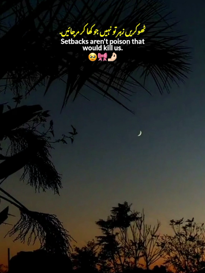 Say Inshallah 🌼🎀 || Motivational quotes 💗 || Motivation 💕 || Life Quotes 💓 || Status Video ✨ #fyp #motivational #quotes #statusvideo #goviral 