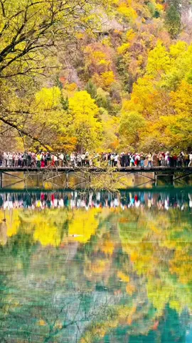 九寨沟的秋天快要结束了～ #中国旅行#九寨沟#成都旅游攻略#chinatravel #中国144小时免签 