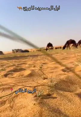 عزبة عيال الشيخ عرمان بن هبطاء بن صموده المهري الله يرحمه ، #المهره #صموده #الوسيع #الربع_الخالي #رماه 