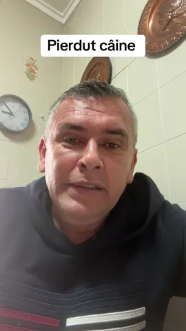 #foryou #viral_video #fyp #news #pamflet 