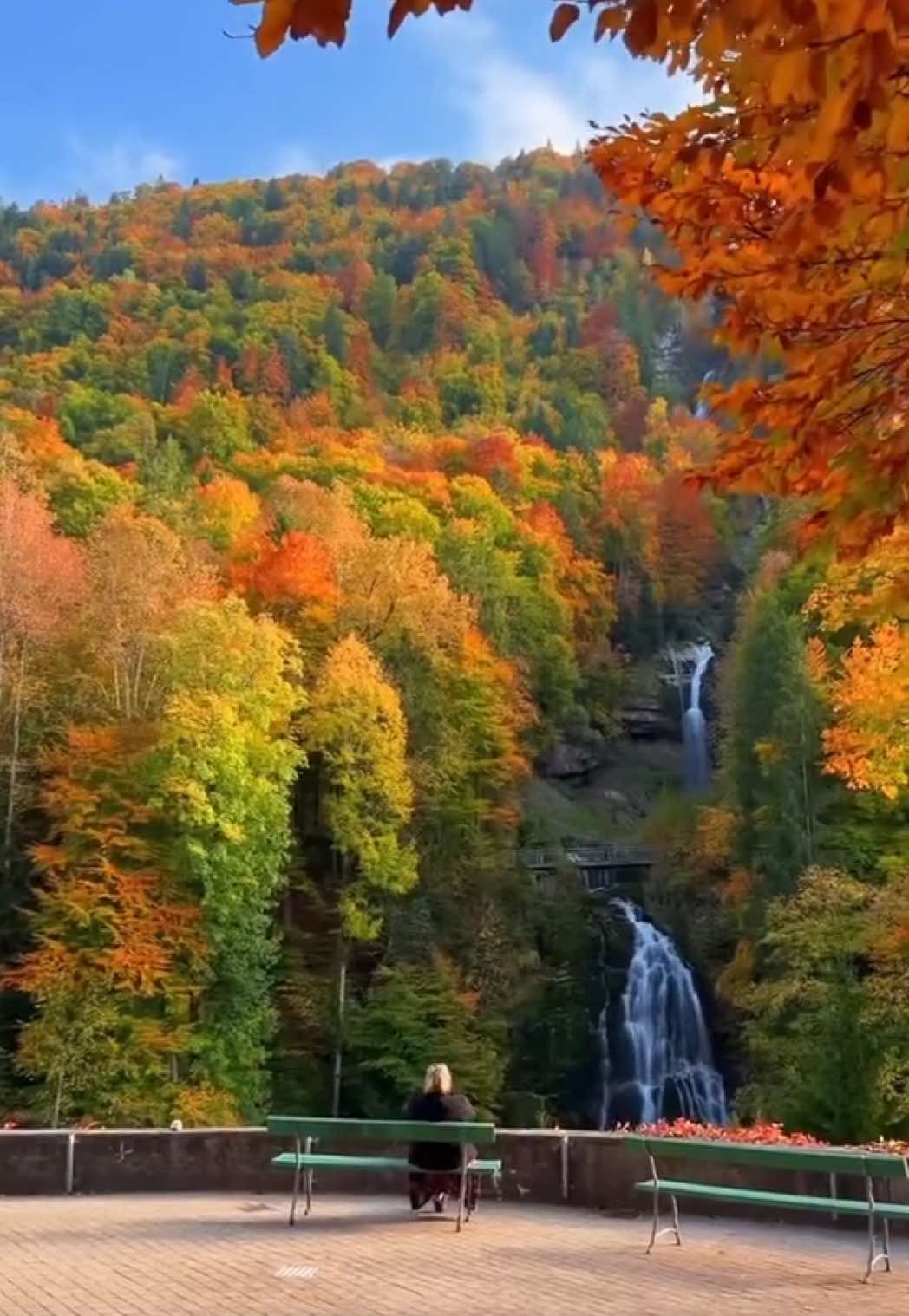 Switzerland in autumn! 😱🇨🇭 What’s your absolute favorite spot in Switzerland? Whether it’s a hidden lake, a charming village, or a breathtaking mountain – drop your secret spots and best memories in the comments! 💬 I can’t wait to discover your favorite places!  🎥 by: @swisswoow  #switzerland #swiss #suisse #schweiz #exploreswitzerland 