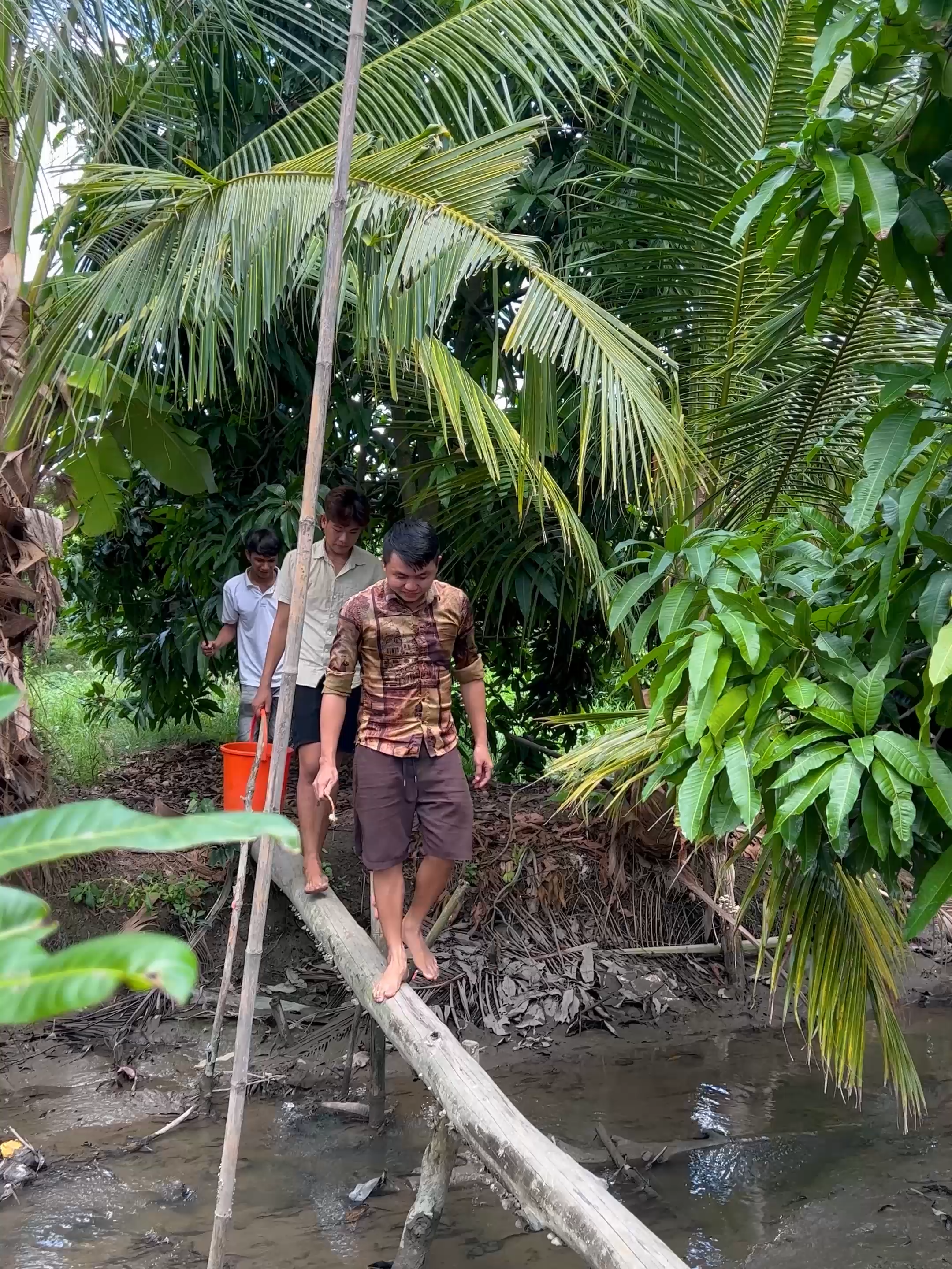 Câu cá kiếm bữa cơm quê #trangmientay