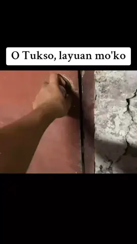 BAKIT PILIT NA BUMABALIK? HAHAHHA #fyp #foryou #drink #relateable #new 